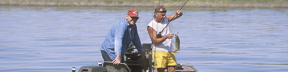 category 0 banner